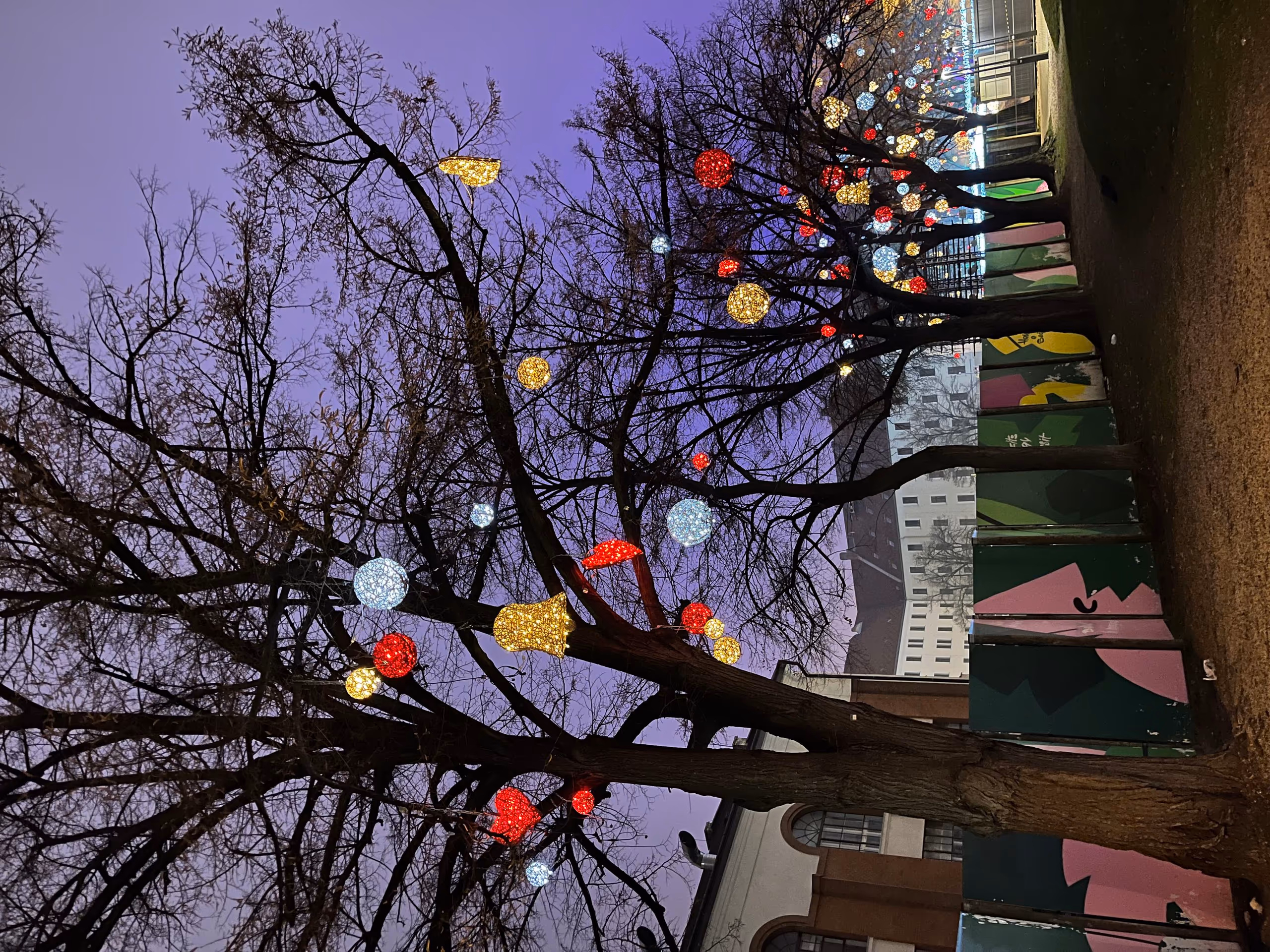 Budapest New Year's Eve & New Year on Balaton — photo 2