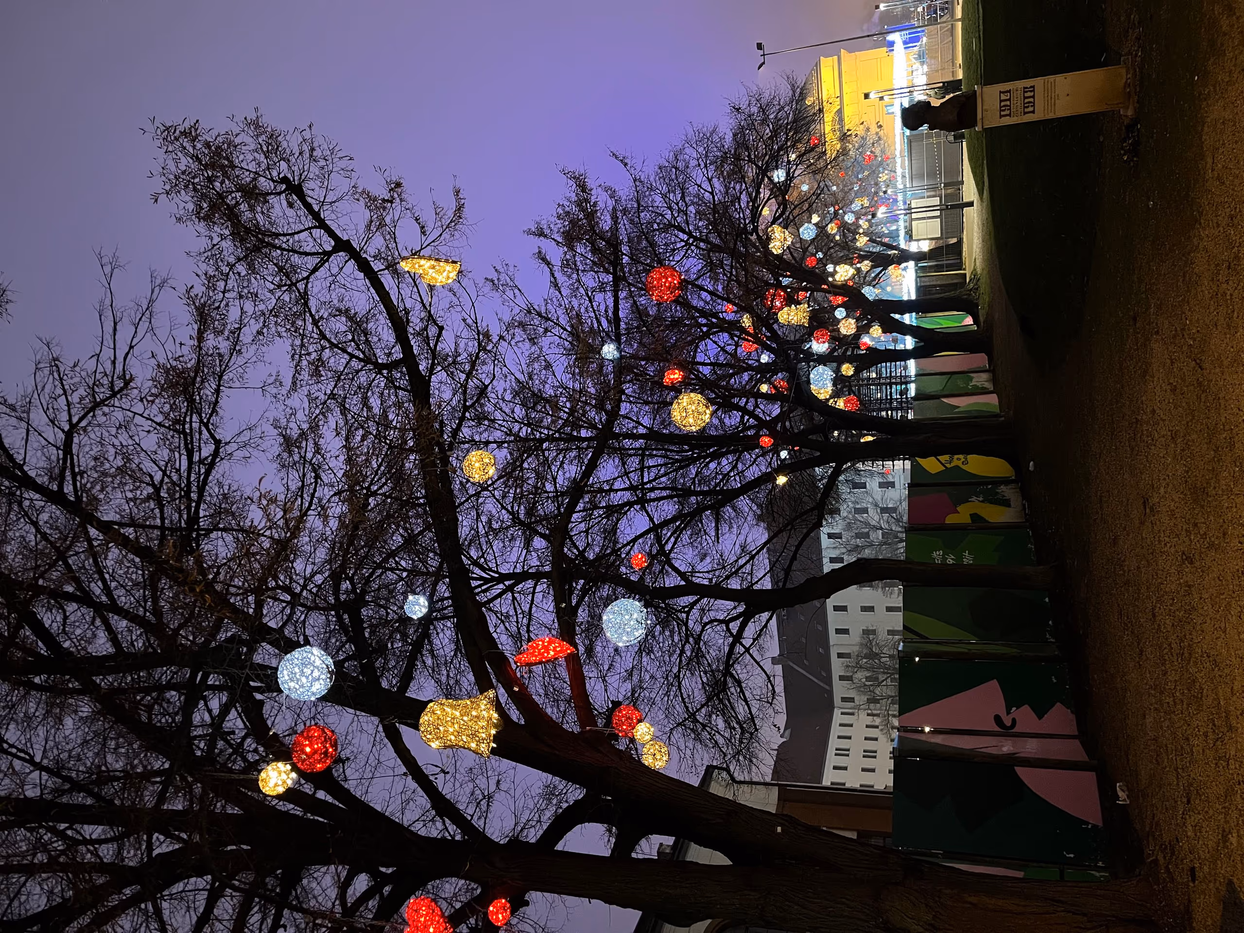 Budapest New Year's Eve & New Year on Balaton — photo 3