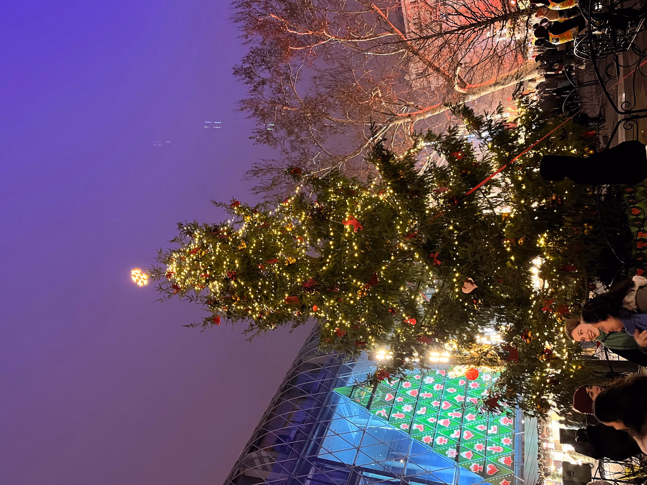 Budapest New Year's Eve & New Year on Balaton — photo 5